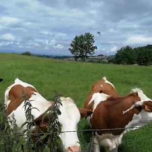 D'hôtes Les Myriades D'or Séjour chez l'habitant
